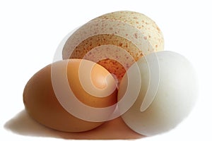 Three eggs isolated white background