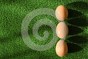 Three eggs in a line as easter decoration with copy space, on green grass