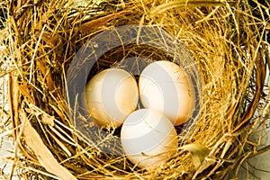 Three eggs in the nest