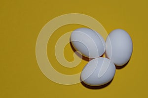 Three eggs, white on a yellow background, lay flat. Space for the text.