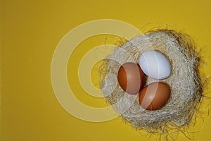 Three eggs, white on a yellow background, lay flat. Space for the text. Nest