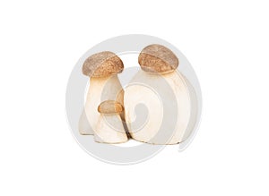 Three eringi mushrooms