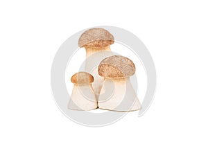 Three eringi mushrooms