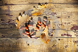 Three fallen yellow oak tree leaves and red acorns on old wooden board background close up, golden autumn foliage on bench in park