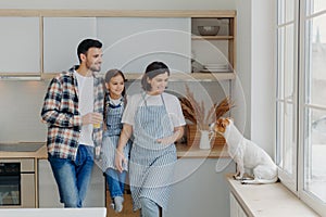 Three family members pose at modern kitchen, look gladfully at their russell terrier dog, spend free time at home. Happy child