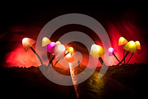 Three fantasy glowing mushrooms in mystery dark forest close-up. Beautiful macro shot of magic mushroom or three souls lost in