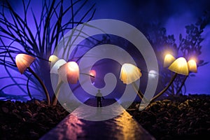 Three fantasy glowing mushrooms in mystery dark forest close-up. Beautiful macro shot of magic mushroom or three souls lost in