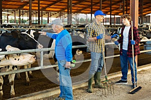 Three farm workers standing in cowhouse