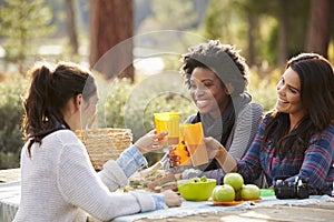 Three female friends at a picnic table making a toast