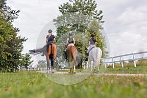 Three female riders riding horses side by side near wood fencing, rear view