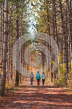 Three female tourists walking along the pathway between the walls of yellow orange red and green trees on Humber Valley photo