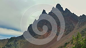 Three fingered jack in oregon
