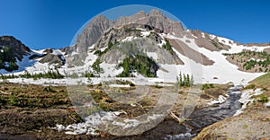 Three Fingered Jack