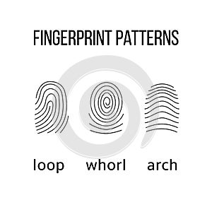 Three fingerprint types on white background.
