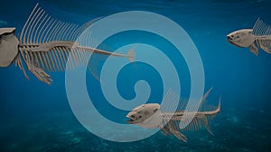 Three fish skeletons swimming under the sea