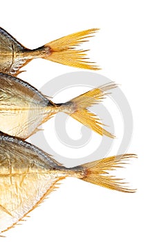 Three fish tails isolated