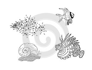 Three fish and a volcano snail, colouring book page uncolored
