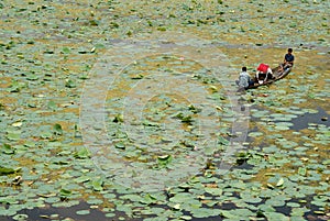 Three fishermen on Dal lake, Srinagar, India