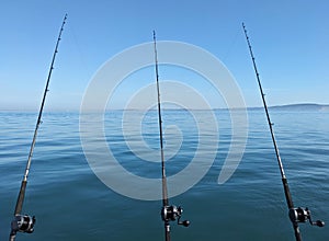 Three fishing rods lined up on the boat in the middle of calm sea