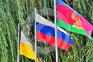 Three flags in the Park