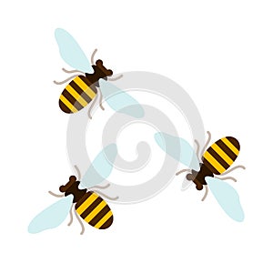 Three flying bees top view flat isolated