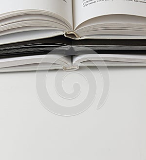 Three flyleaf white black white books macro photo