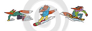 Three fox lovers of winter sports, snowboarding. Colored illustrations, stickers, can be used in advertising and sporting goods, a