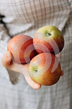 Three fresh apples in a woman hands.