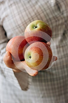 Three fresh apples in a woman hands.