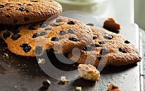 Three fresh baked cookies with raisin and chocolate on the pan