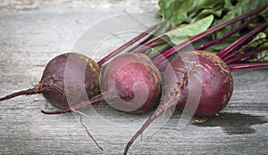 three fresh beets with tops on a wooden background