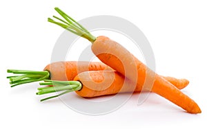 Three fresh carrot isolated on white background