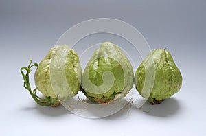 Three fresh chayotes