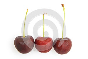 Three fresh cherries