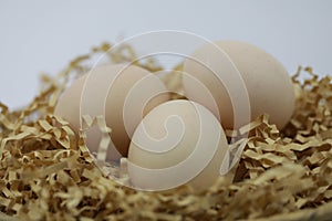Three Fresh Eggs in bamboo basket