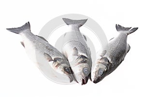 Three fresh fish on a light background. With space for text