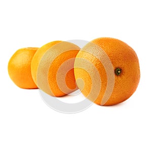 Three fresh juicy grapefruits composition isolated