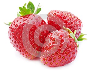 Three fresh, juicy and healthy strawberries