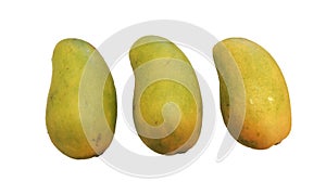 Three fresh juicy mangos on a white background