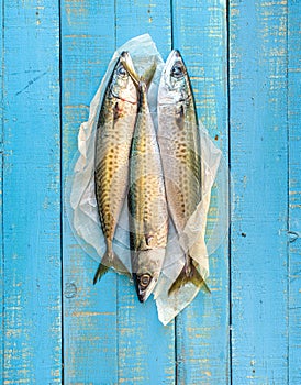 Three fresh mackerels.