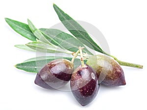 Three fresh olives with leaves .