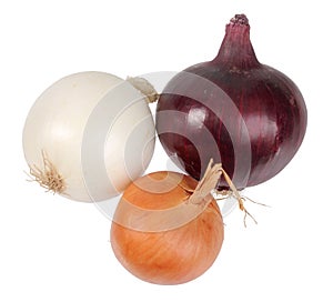 Only three fresh onion