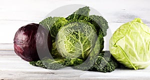 Three fresh organic cabbage heads. Antioxidant balanced diet eating with red cabbage, white cabbage and savoy