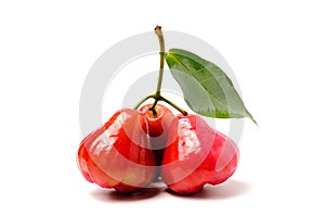 Three Fresh organic Rose apples isolated on white background