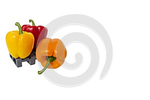 Three fresh paprika standing on grey mini pallet isolated, white backdrop,large copy space.Sweet colorful bell pepper