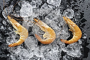 Three fresh prawns placed on ice and dark background