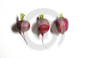 Three fresh radishes on a white background