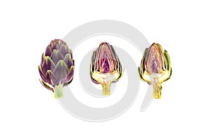 Three fresh raw artichokes isolated on white background.