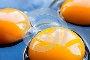Three fresh raw chicken egg yolks spilled on a dark pan