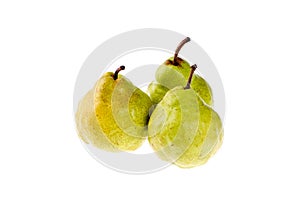 Three fresh, ripe, organic D Anjou pears with the stems isolated on white background